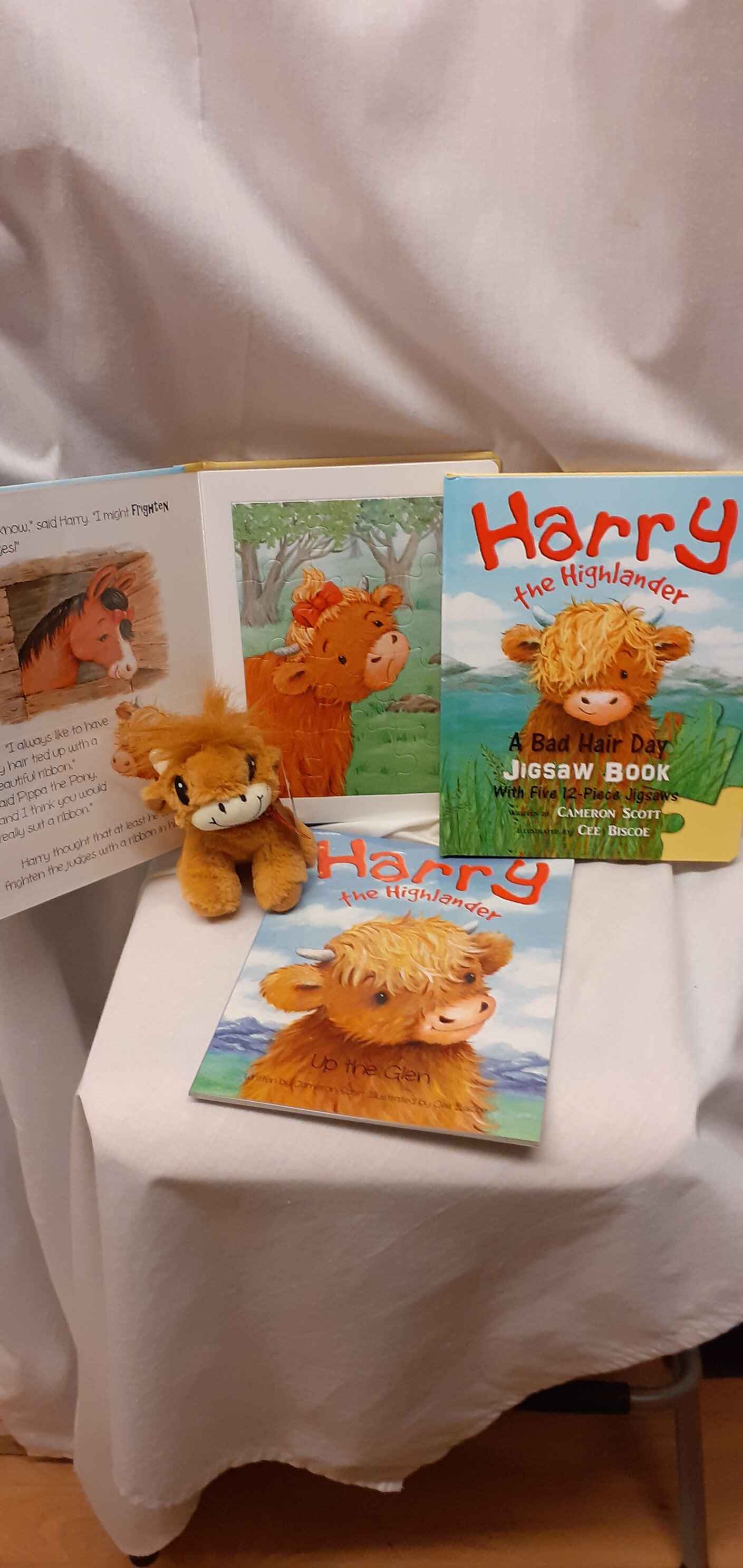 Harry the Highlander childrens books and small highland cow soft toy. Photo